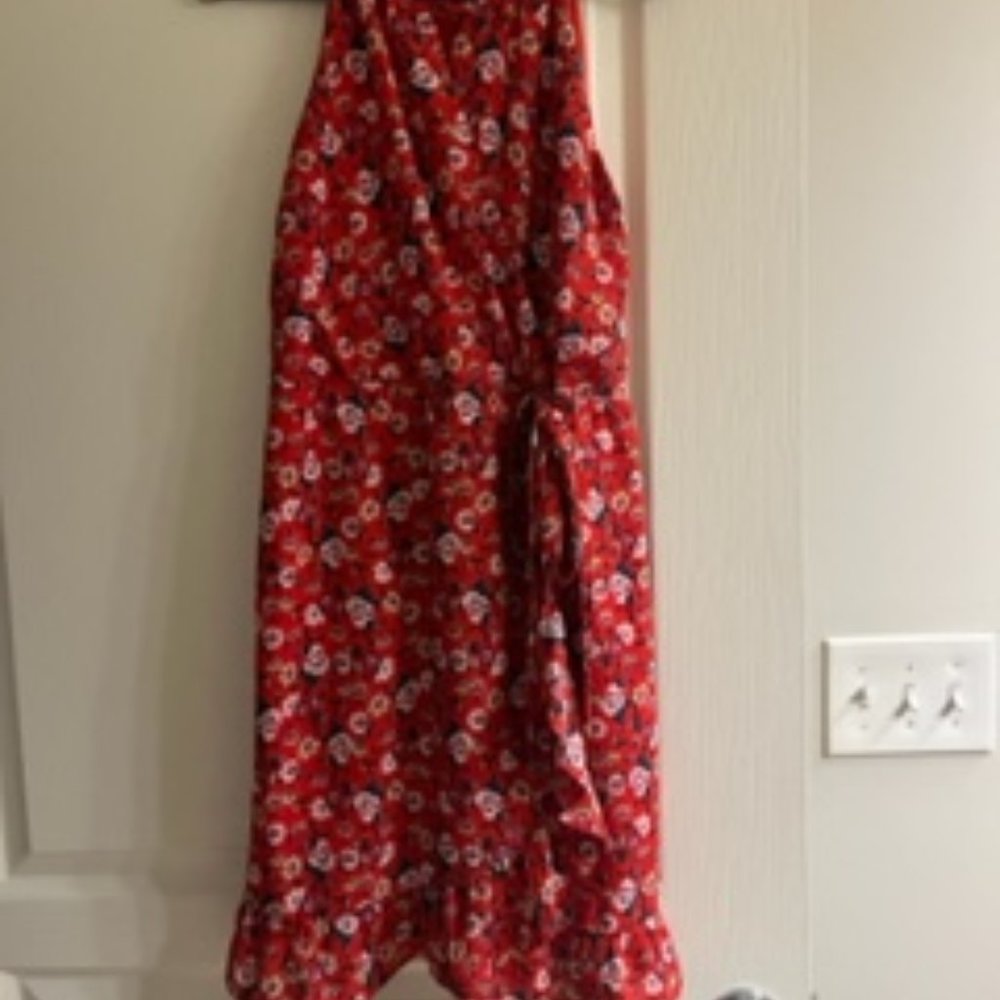Francesca's Red Floras Dress
